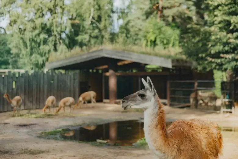 Rīgas Nacionālais zooloģiskais dārzs